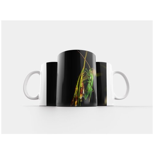 фото Кружка "насекомое, беспозвоночное, макро" 320 мл lotsprints