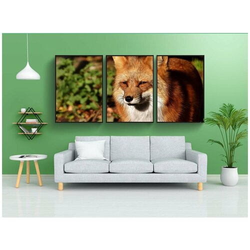 фото Набор модулных постеров для интерьера "лиса, дикая природа, дикое животное" 60x90 см. в тубусе, без рамки lotsprints