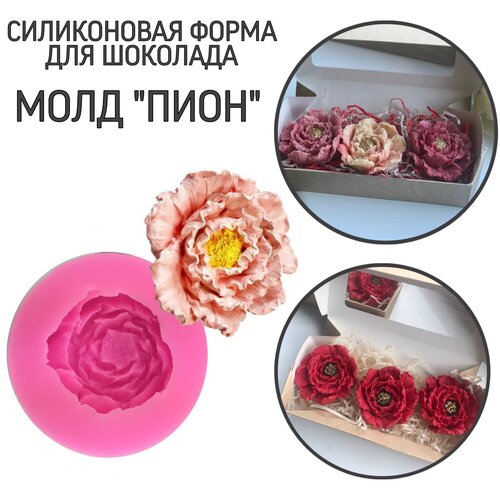 Силиконовая форма (молд) для шоколада 