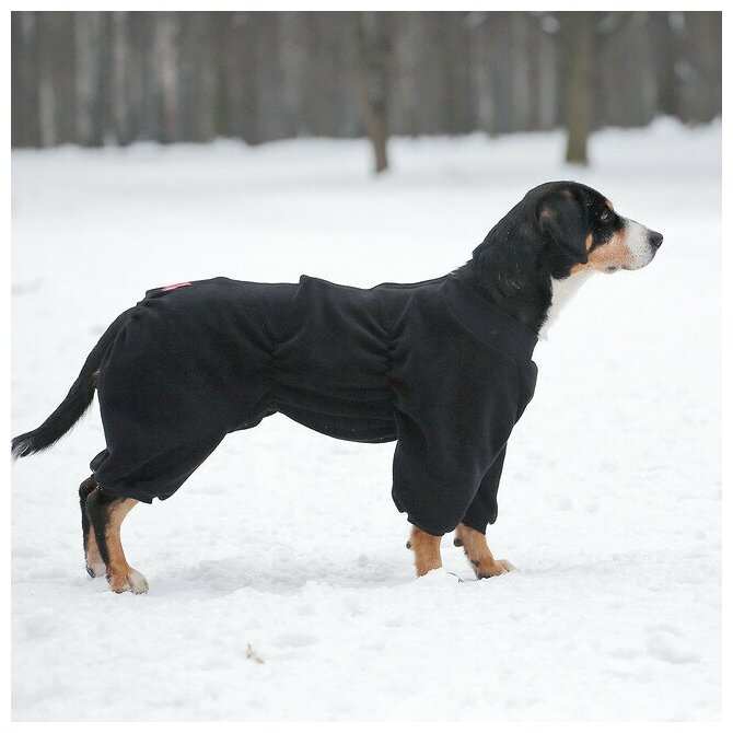 Комбинезон для собак Osso Fashion, размер 70, черный - фотография № 2