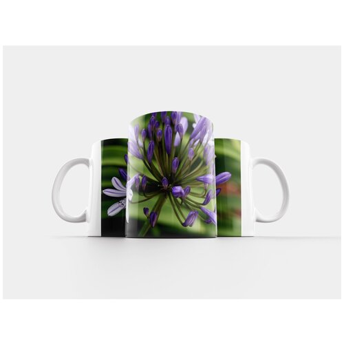 фото Кружка "agapanthus, бутоны, синие цветы" 320 мл lotsprints