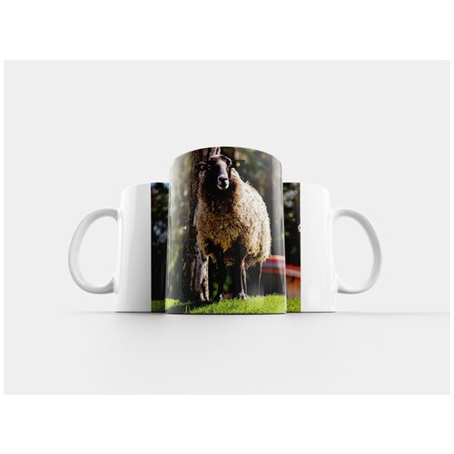 фото Кружка "овец, шерсть, животное" 320 мл lotsprints