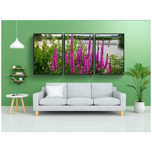 фото Набор модулных постеров для интерьера "вербейник фиолетовый, lythrum, цветок" 60x90 см. в тубусе, без рамки lotsprints