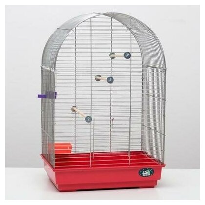 Клетка для птиц "Пижон" №101, хром , укомплектованная, 41х30х65 см, рубиновая - фотография № 7