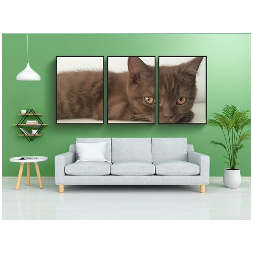 фото Набор модулных постеров для интерьера "кот, животное, домашнее животное" 60x90 см. в тубусе, без рамки lotsprints