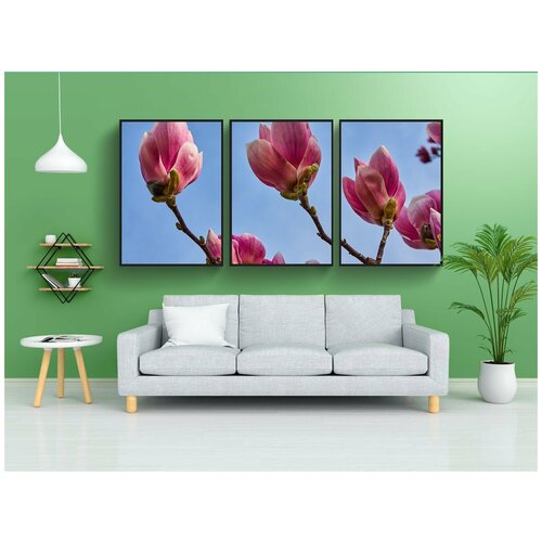 фото Набор модулных постеров для интерьера "тюльпан магнолия, магнолия × soulangeana, магнолия" 60x90 см. в тубусе, без рамки lotsprints
