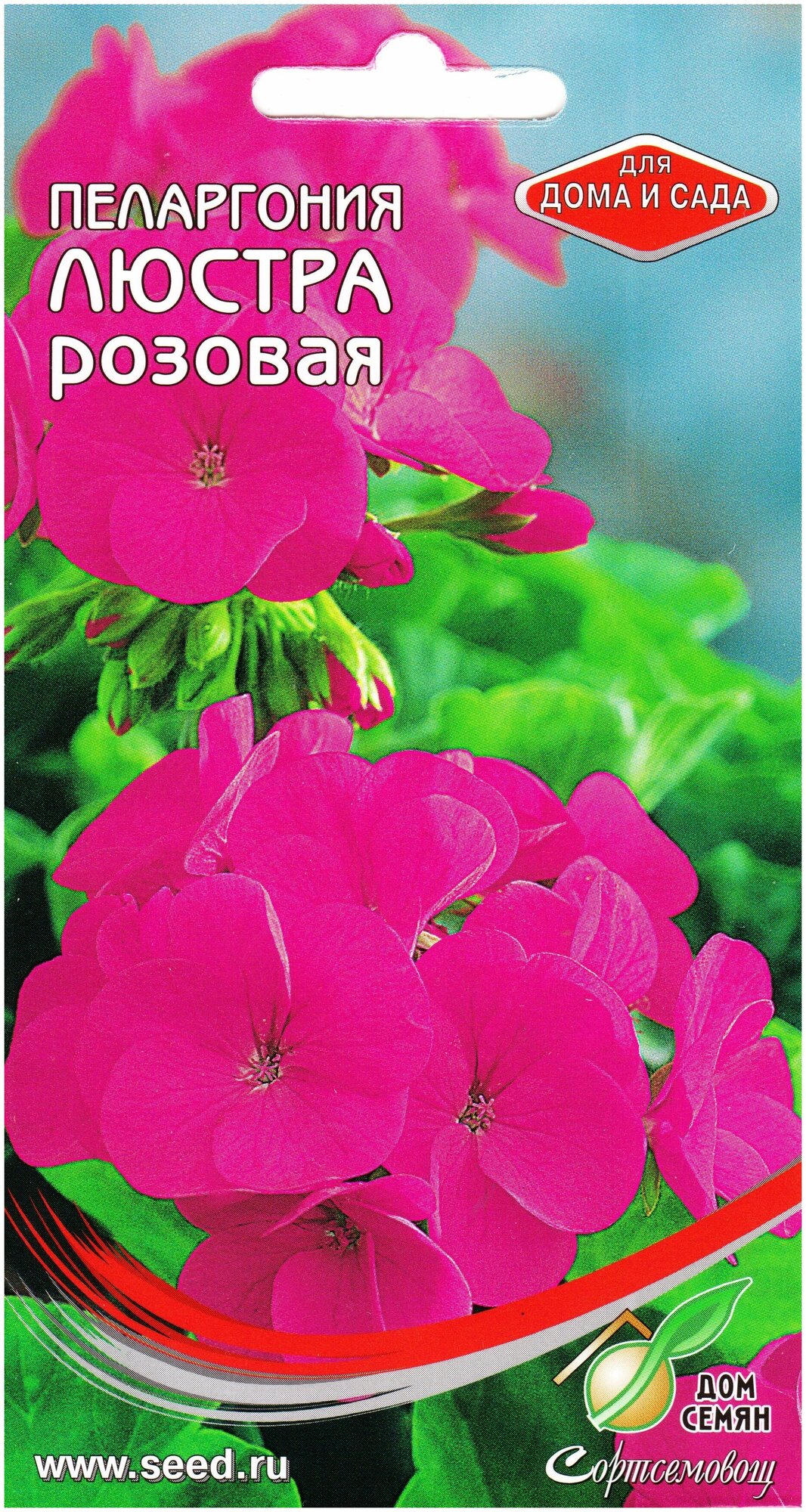 Пеларгония Люстра розовая 6 семян