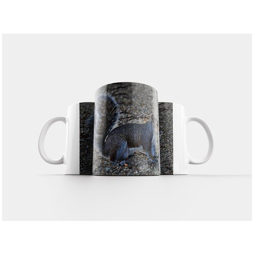 фото Кружка "серая белка, милый, грызун" 320 мл lotsprints