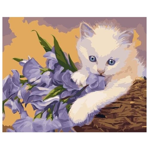 Картина по номерам Colibri Белый котенок 40х50 см Холст на подрамнике картина по номерам colibri котенок 40х50 см холст на подрамнике