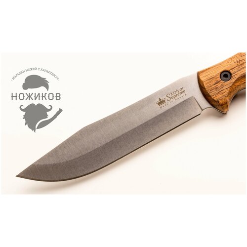 Нож Safari Kizlyar Supreme, сталь AUS-8 SW, рукоять орех нож safari aus 8 stonewash орех от kizlyar supreme