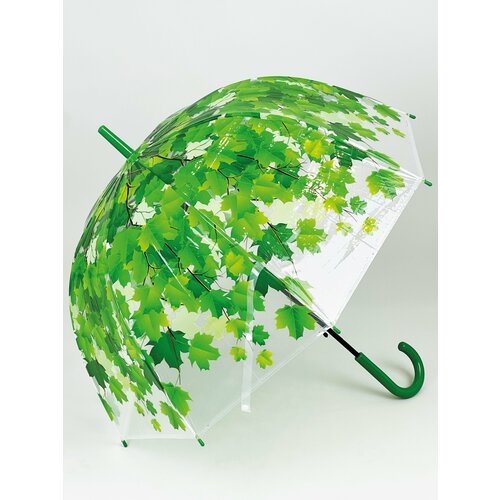 фото Зонт-трость rainbrella, полуавтомат, купол 82 см., 8 спиц, система «антиветер», прозрачный, для женщин, зеленый