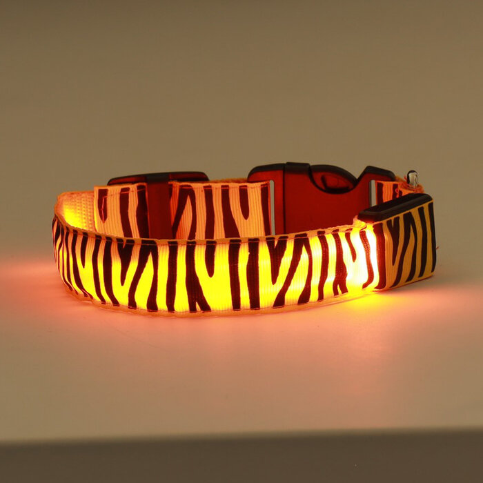 Ошейник с подсветкой "Тигр", 3 режима свечения, размер S, ОШ 22-40 х 2,5 см, оранжевый 9772232