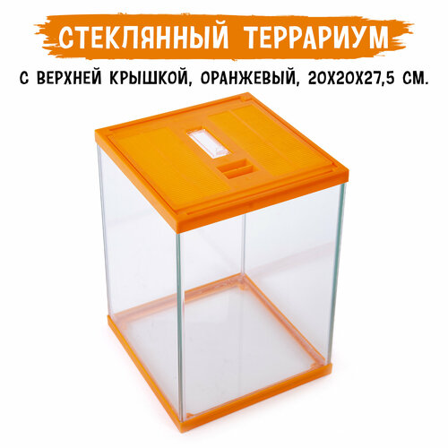 Террариум стеклянный с верхней крышкой MCLANZOO , оранжевый, 20х20хН27.5см