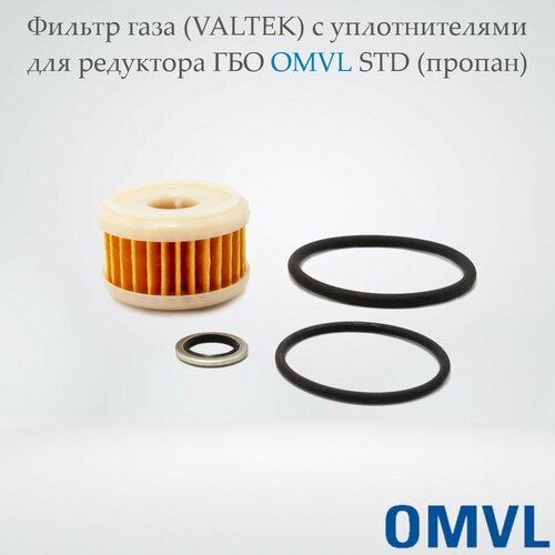 Фильтр газа (VALTEK) с уплотнителями для редуктора OMVL STD (пропан)
