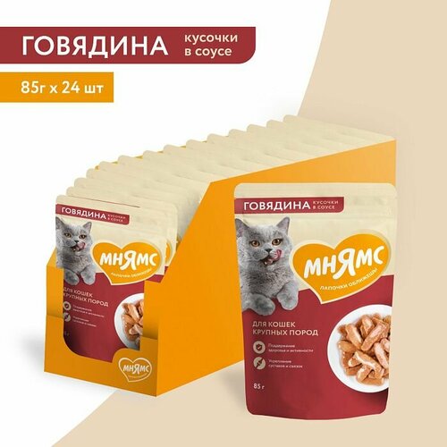 Влажный корм Мнямс Кусочки в соусе с говядиной для крупных кошек 24шт по 85г