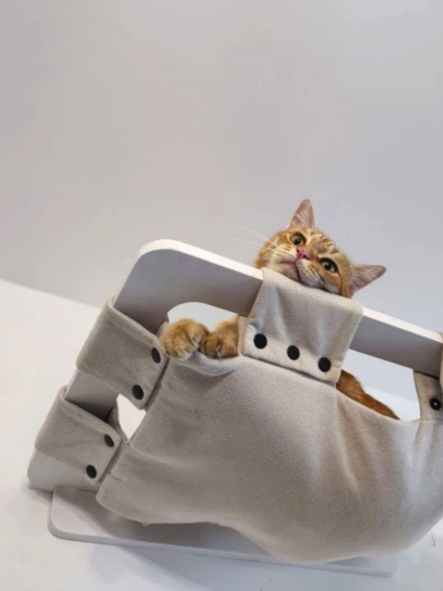 Лежаки Для Животных Xiaomi Гамак для кошки настенный "Kattform" с бортиком, съемный чехол