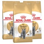Сухой корм для кошек Royal Canin для британских короткошерстных - изображение