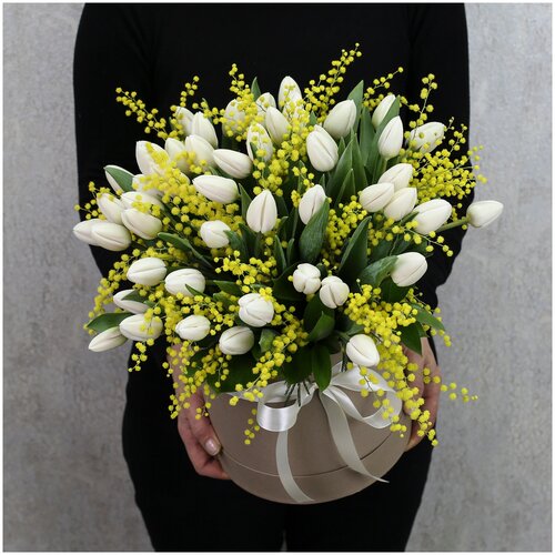 Цветы живые букет из 51 белого тюльпана с мимозой в шляпной коробке