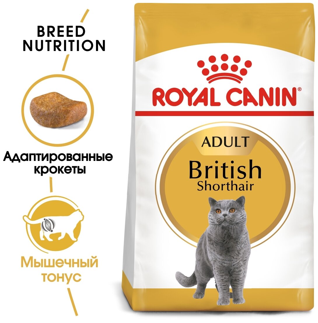 Сухой корм Royal Canin British Shorthair Adult для взрослых британских короткошерстных кошек 2кг - фотография № 1