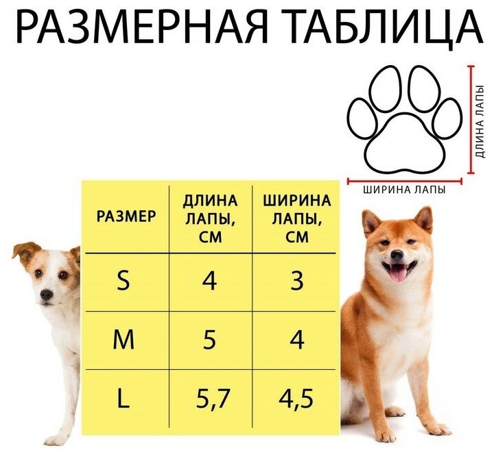 Ботинки Элеганс, набор 4 шт, размер 3 (подошва 5 х 4,2 см) коричневые - фотография № 10