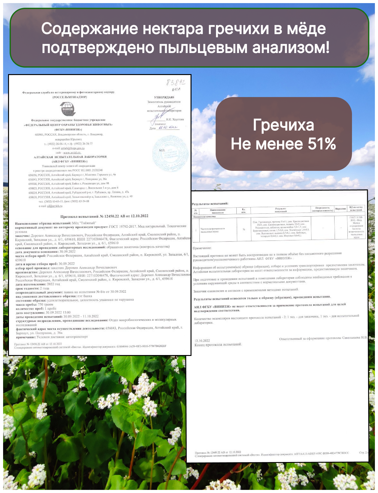 Мёд гречишный Алтайский натуральный / Сбор 2023г/ 750 грамм/ Пасека Дорохиных Алтай