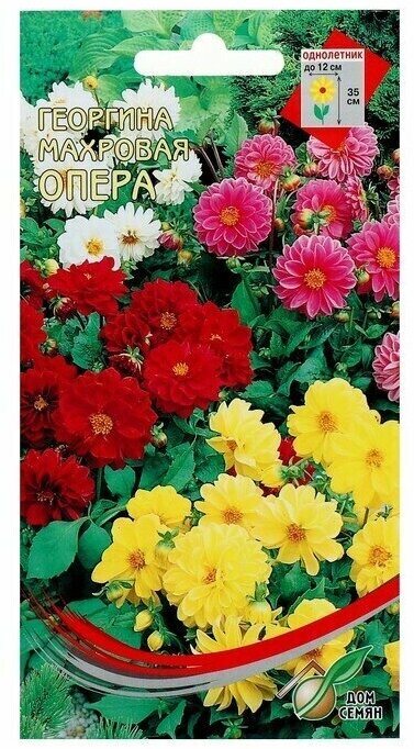 Семена цветов Георгина махровая "Опера" 15 шт