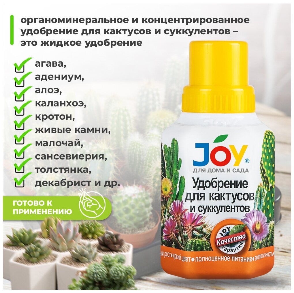 Удобрение для кактусов и суккулентов JOY, 250 мл / Жидкое концентрированное удобрение для алоэ, толстянки, кротона - фотография № 2