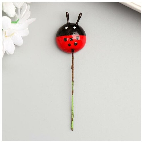 фото Декор для творчества "божьи коровки" набор 10 шт 1,9х1,9 см mikimarket