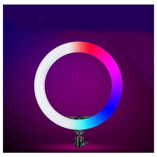 Светодиодная кольцевая лампа RL-13 RGB 32см черный 149100₽