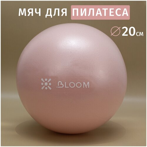 Мяч LiveUp LB7000 для пилатеса 20 см