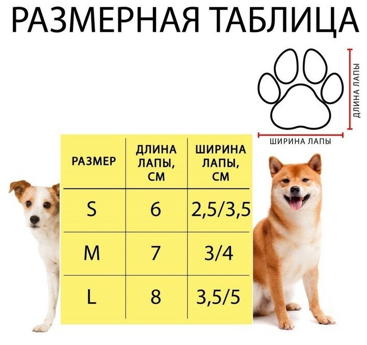 Носки нескользящие, размер M (3/4 * 7,5 см), набор 4 шт, джентельмен - фотография № 4