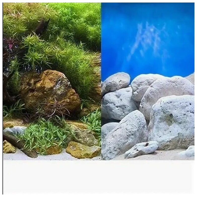 Фон для аквариума двухсторонний 60*124см Водный сад/Яркие камни - фотография № 5