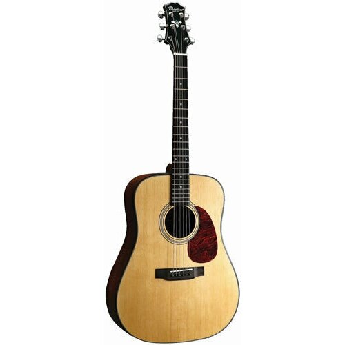 Acoustic guitar Peerless PD-60E - Dreadnought acoustic guitar with solid mahogany body, mahogany neck and rosewood fretboard. Built-in Fishman Prefix Plus-T pickup system.