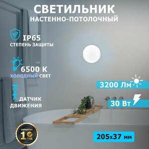 Светильник светодиодный Rexant с датчиком движения / LED фонарь уличный