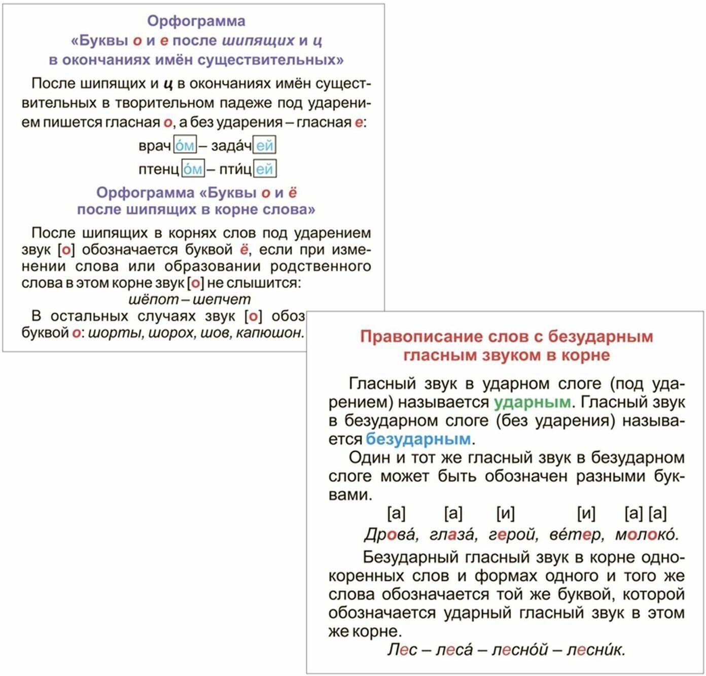 Главные правила. Русский язык. Основные орфографические правила. 1-4 классы. 12 обучающих карточек - фото №3