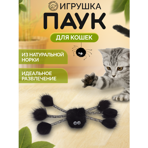 Игрушка для котов и кошек Roksy-hall Паук из норки, черный
