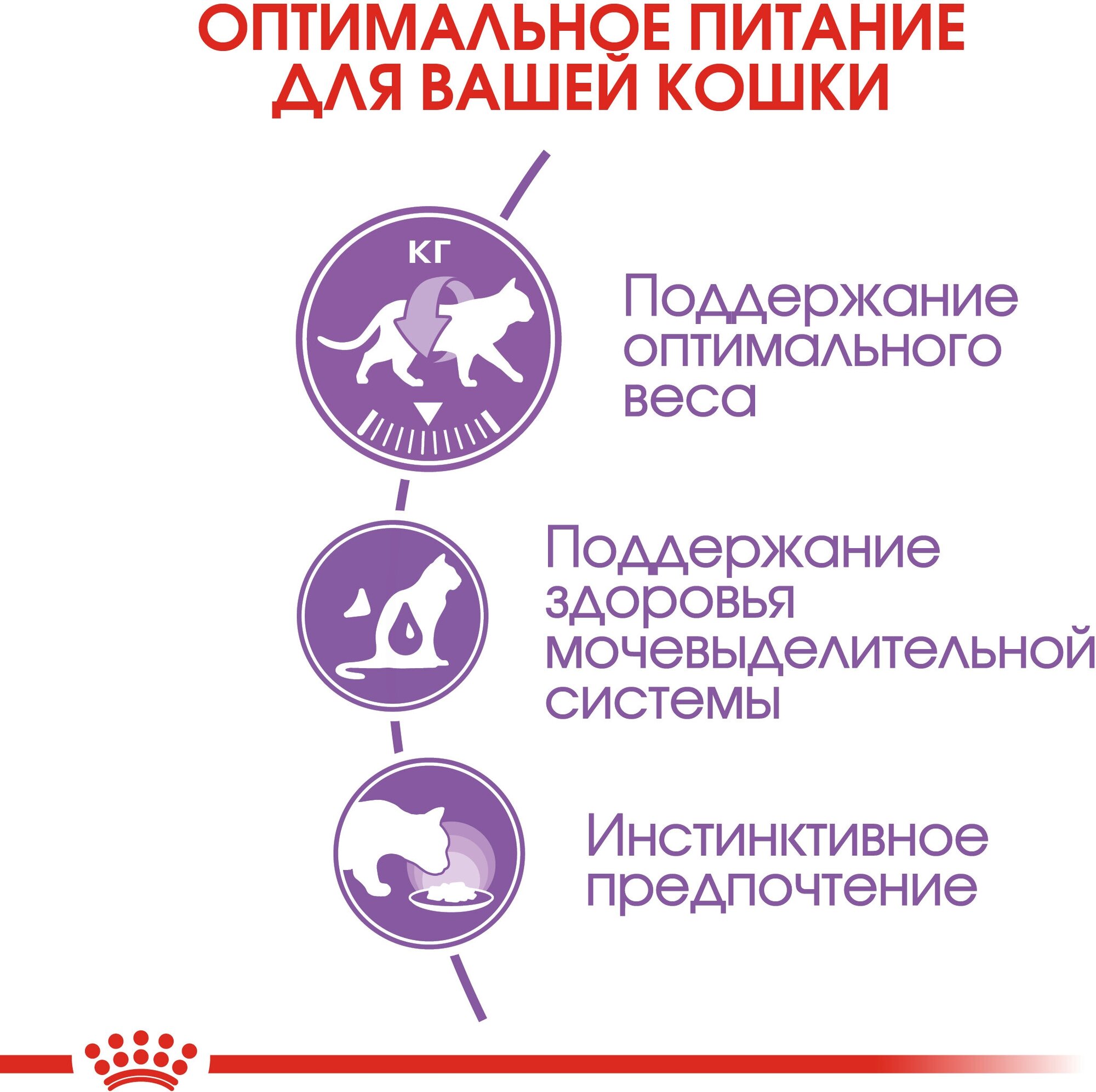 Royal Canin Sterilised пауч кусочки в желе, Роял Канин 28*85 г - фотография № 4