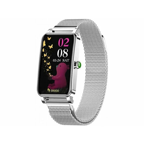 Умные часы CheckME Smart CMSZX19SS 962600₽