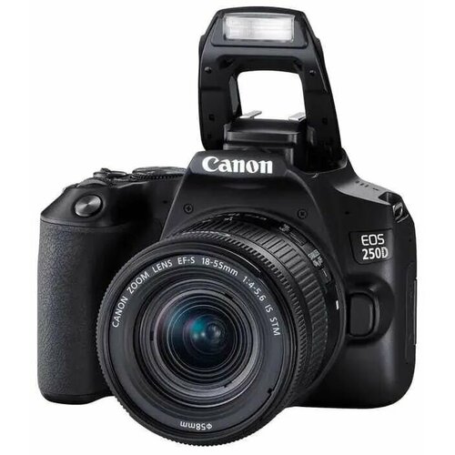 Фотоаппарат Canon 250D kit EF-S 18-55mm is STM 76744₽