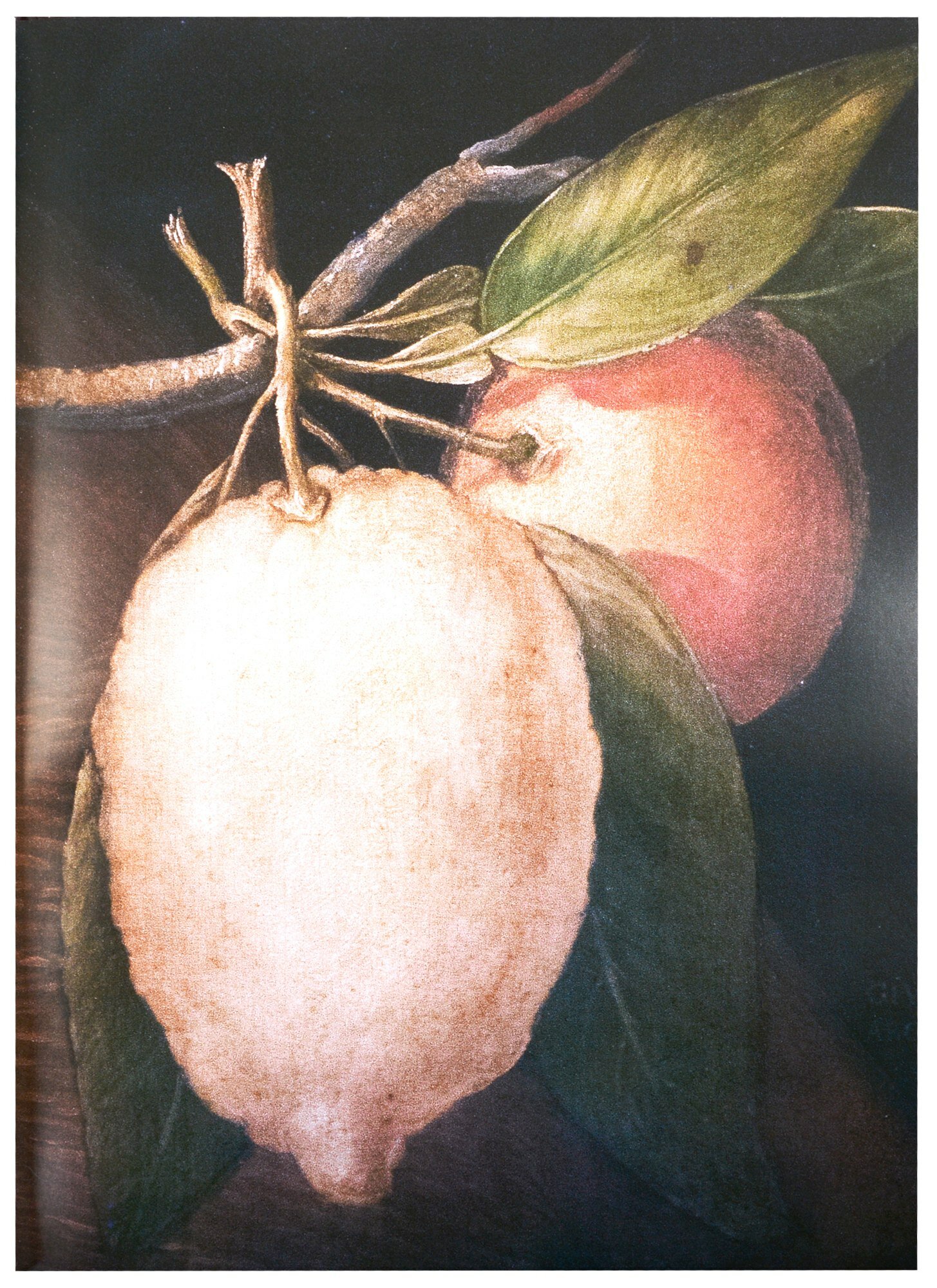 Арчимбольдо. Линия творчества — фото 1