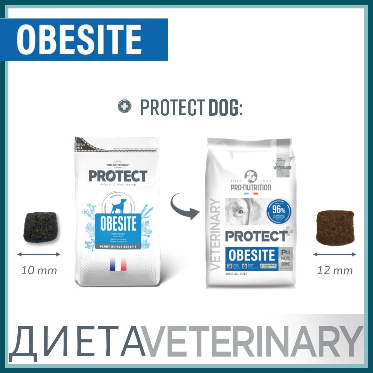 Сухой лечебный корм для взрослых и пожилых собак Flatazor Protect+ Obesite, ветеринарная диета для собак с лишним весом, c сахарным диабетом, Франция, 12кг. — фото 1