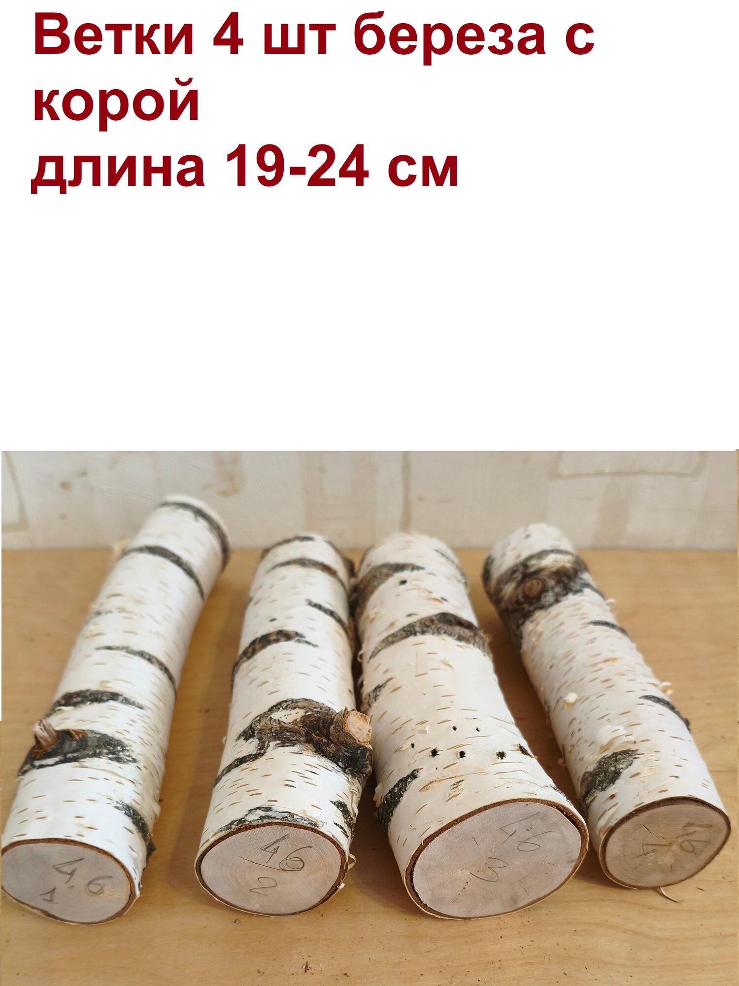 046 Ветки березы 4 шт толстые с корой срезы шлифованные. Размер 180х40х45 +/- 10 +/- 7 мм. Влажность 9% +/- 2%.