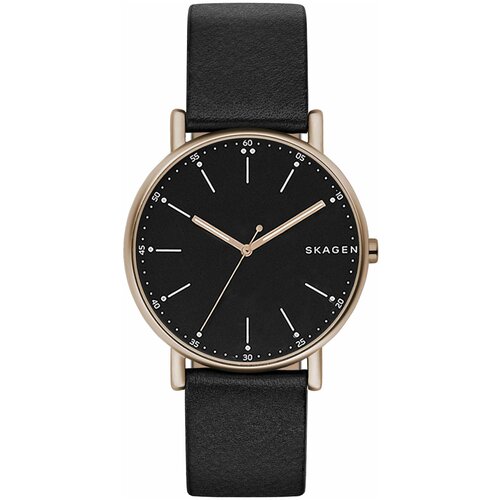 Наручные часы Skagen SKW6401