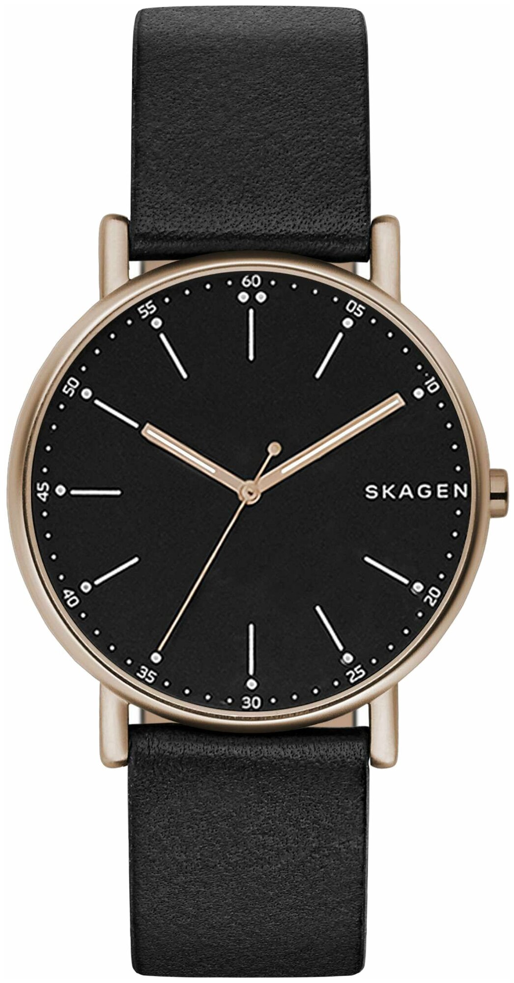 Наручные часы SKAGEN SKW6401