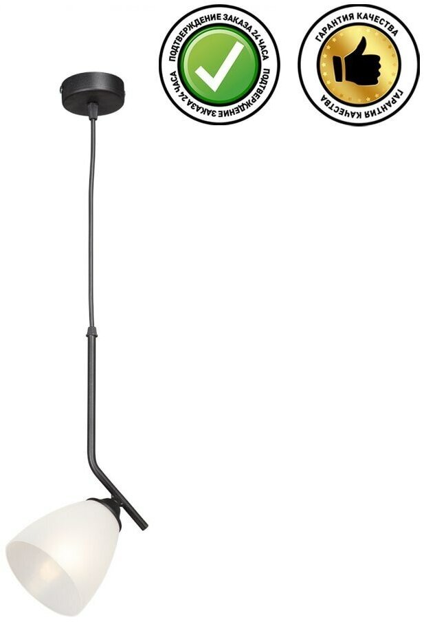 Потолочный светильник Vitaluce V4396-1/1S, E27, 40 Вт, кол-во ламп: 1 шт., цвет: черный - фотография № 3
