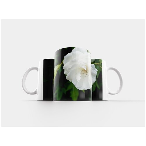 фото Кружка "цветок, крупным планом, роуз" 320 мл lotsprints