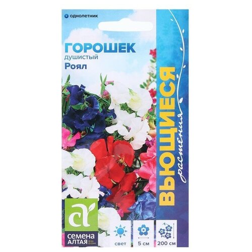 Семена цветов Душистый горошек 