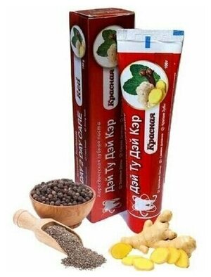 Аюрведическая зубная паста «Красная» Day 2 Day Care Red Ayurvedic Toothpaste 100g