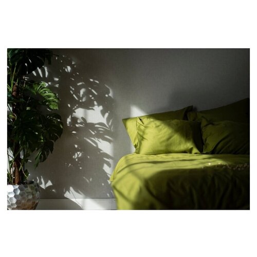 фото Комплект постельного белья siesta home двуспальный фисташка (180х200, 180х200х25, 50х70)