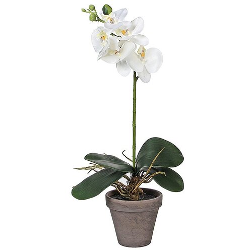 Edelman Орхидея искусственная в горшке 48 см белая 949832